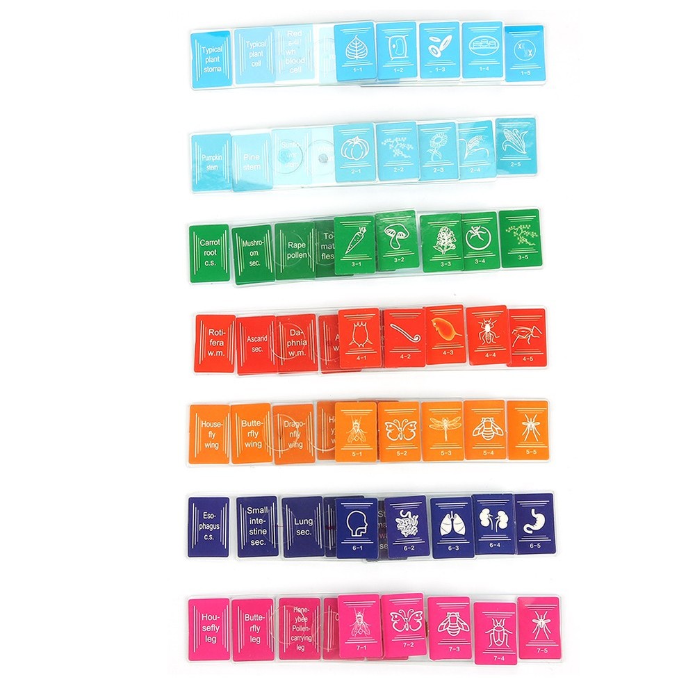 35pcs Biology Glass Prepared Microscope Slides Lab Specimens Set❀