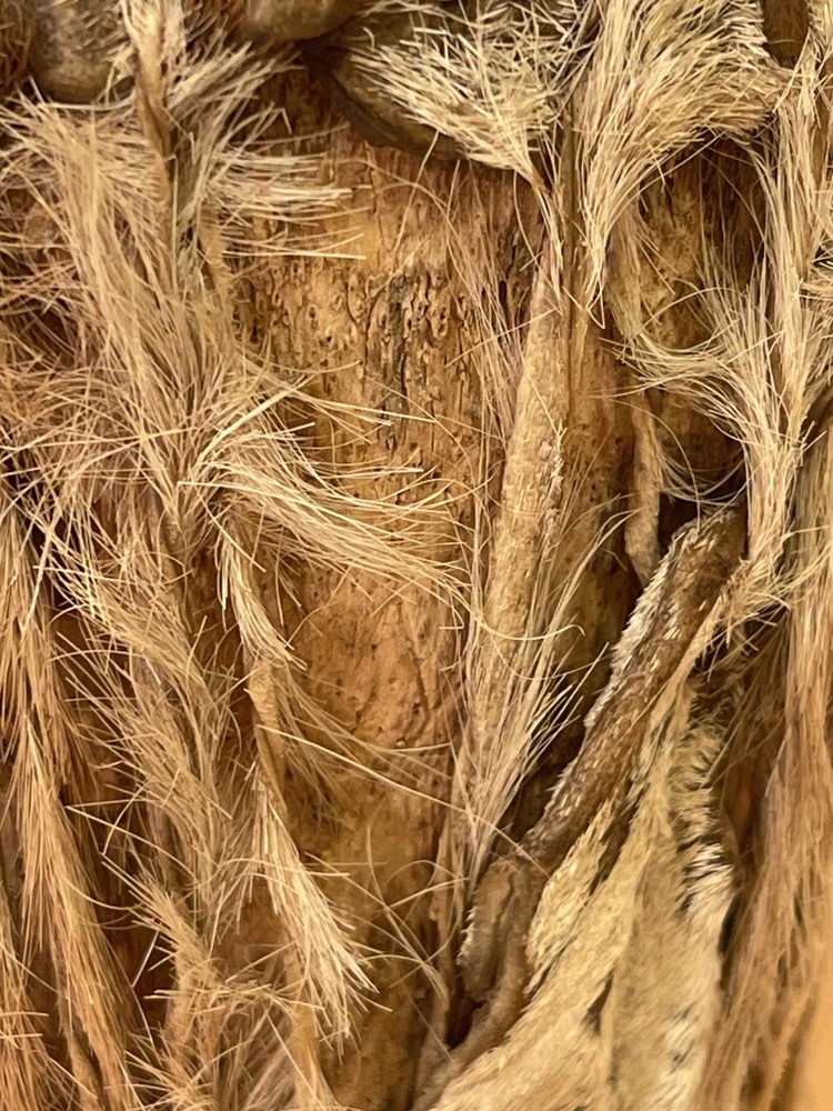 A small vintage hand drum