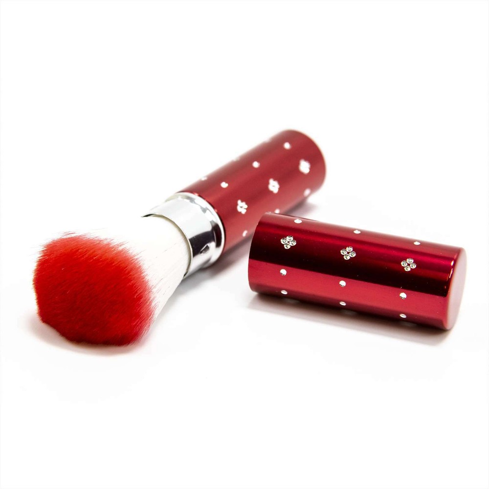 NEW Fe Make Up Blush Brush Applicator with Case