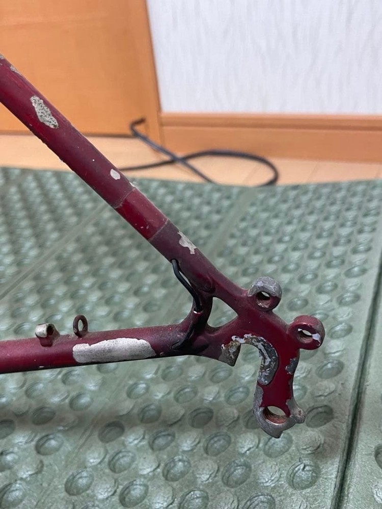 Hirame Randonneur Bicycle Frame