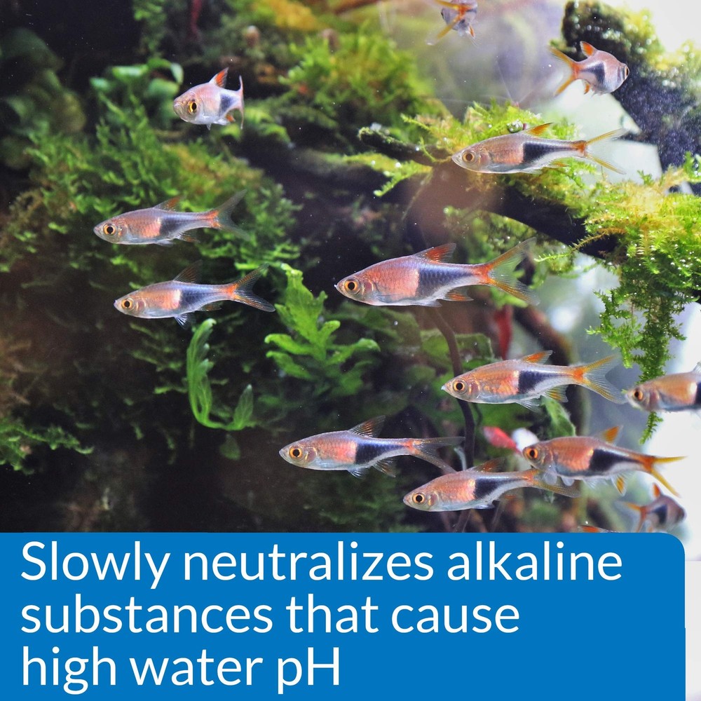 API pH DOWN Freshwater Aquarium Water Reducing Solution 4 oz, Multi