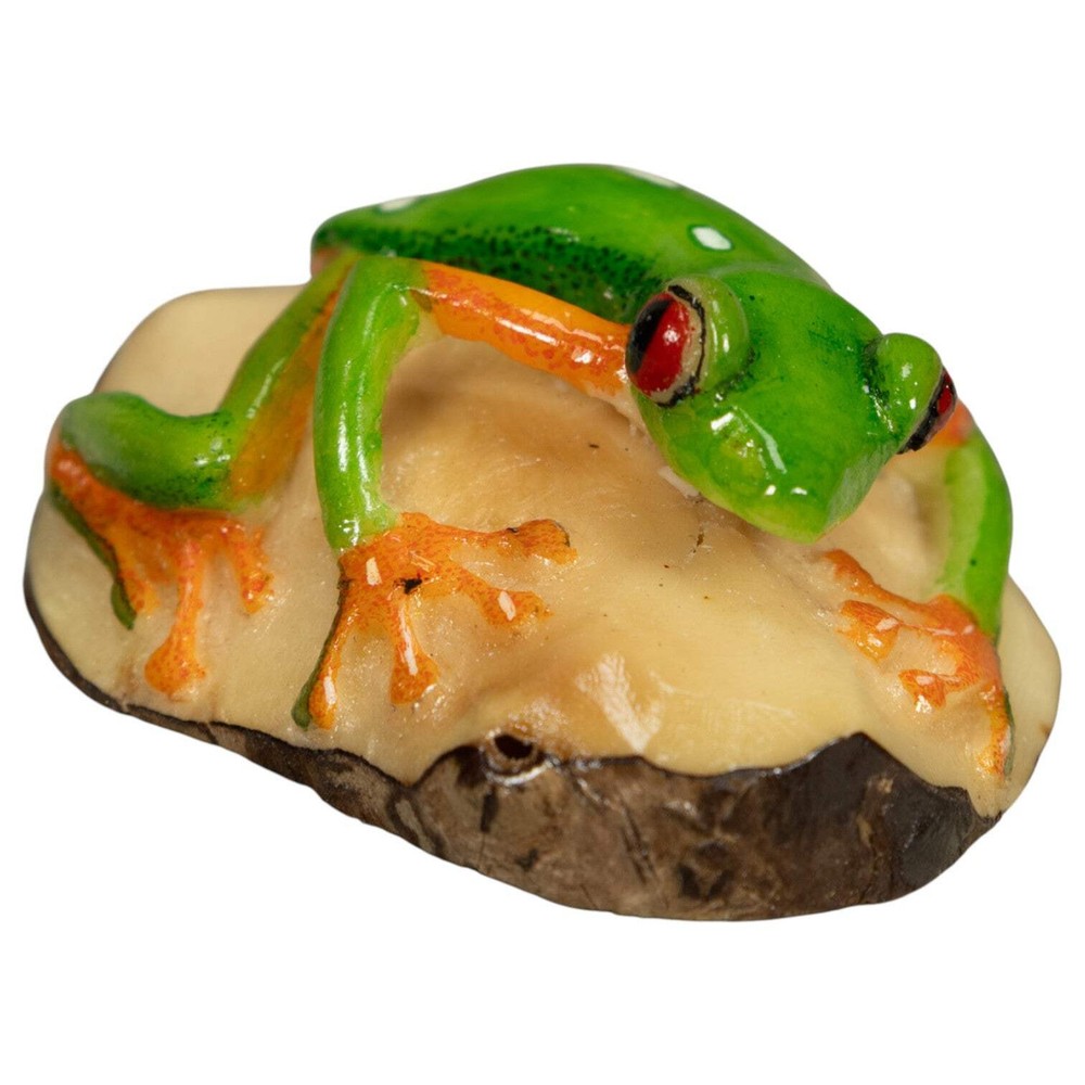 Red-Eye Tree Frog Tagua Carving