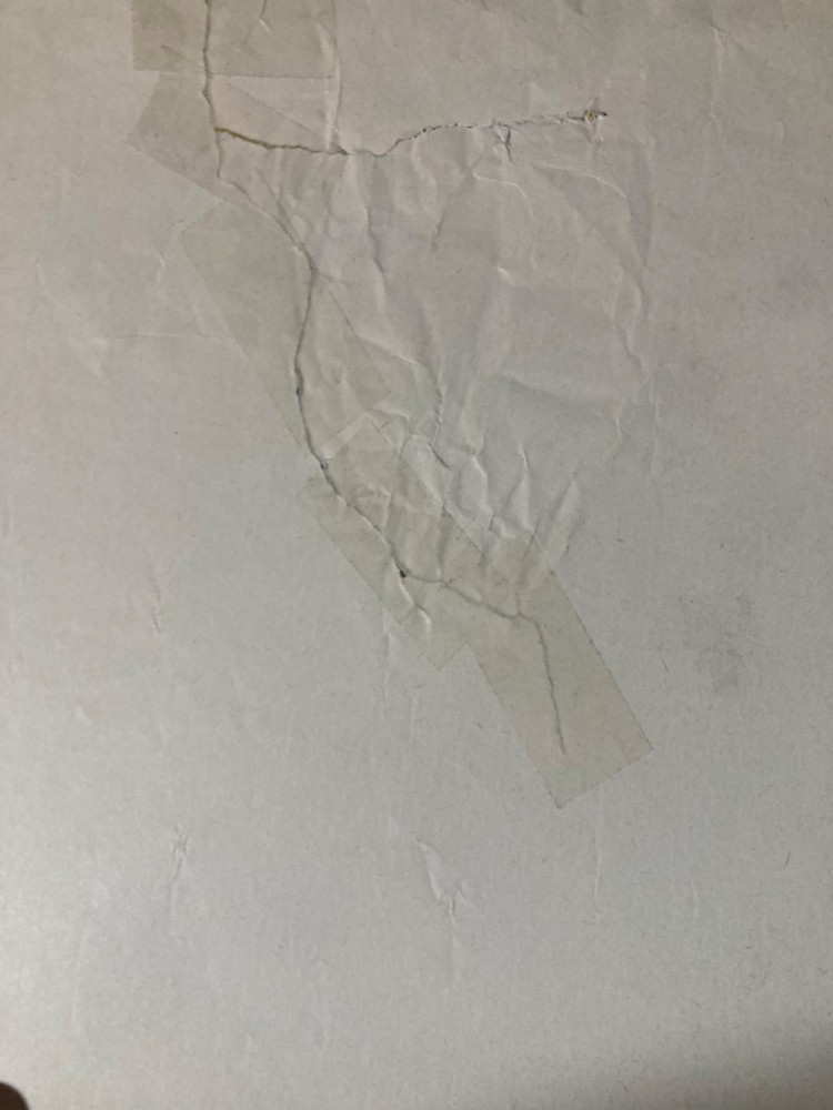 John Cougar 1979 Promo Poster Riva Records Torn E