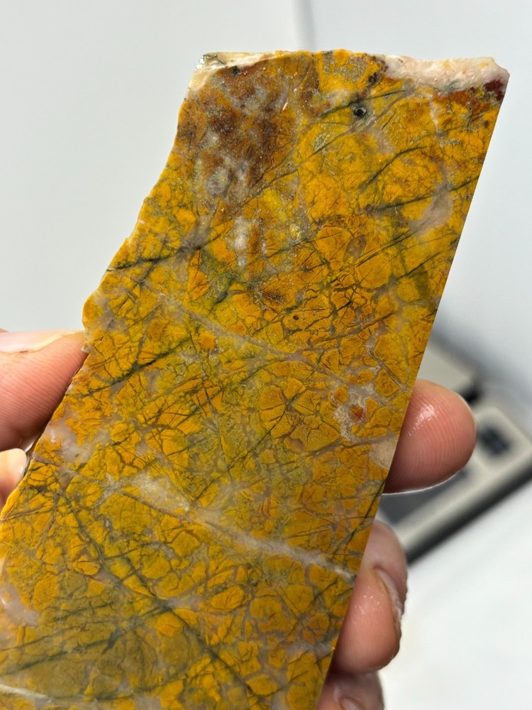 Brecciated Jasper Slab Cabbing Lapidary Combo Ship Available