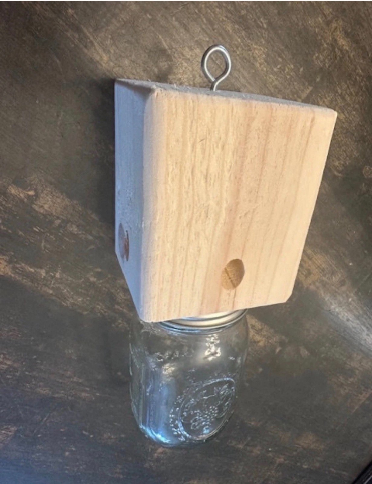 Carpenter Bee Trap (CHOICE of 1, 2 or 4 Pack!) Boring Bees Soft Wood Ball Mason!