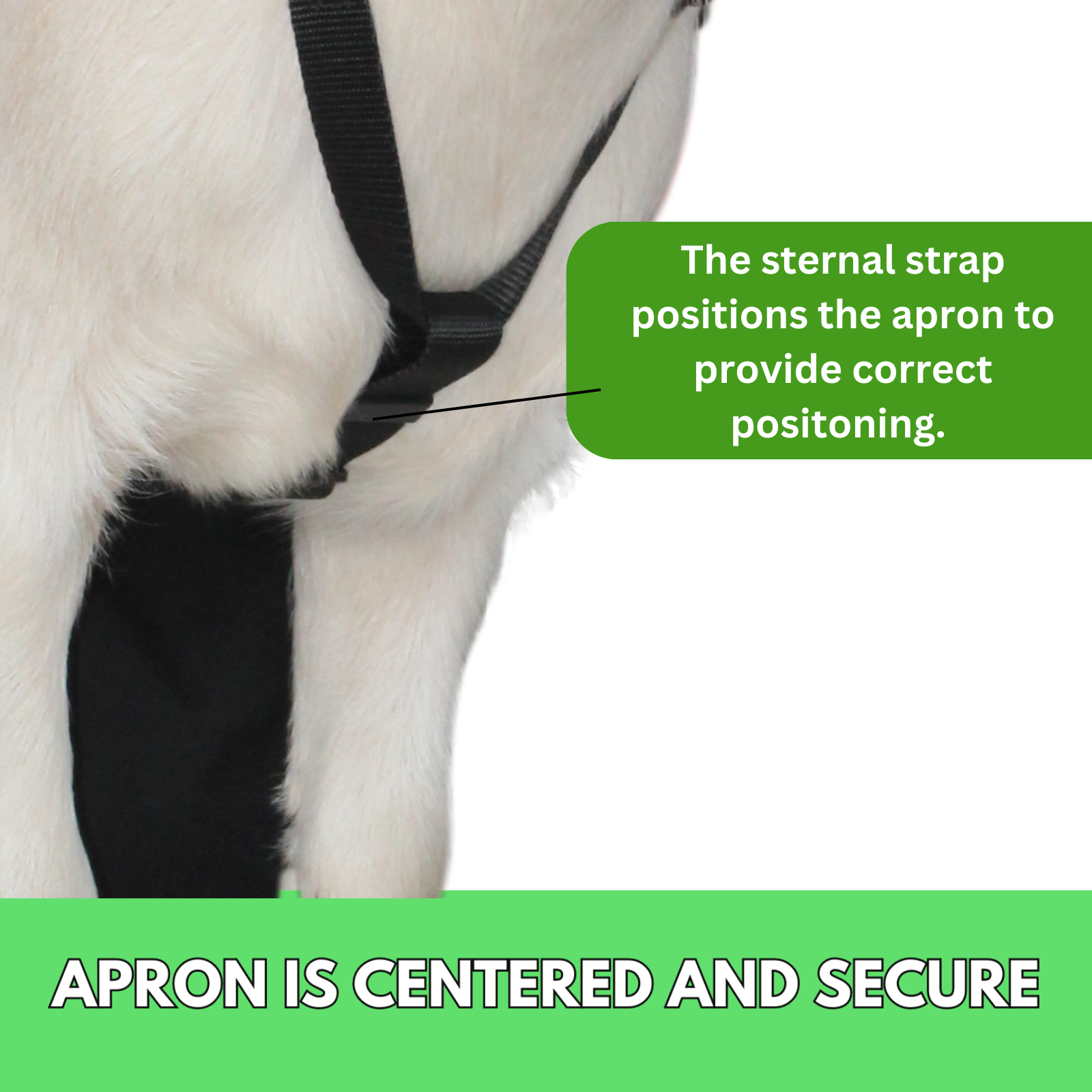 Anti Mating Anti Breeding OLOR Buck Apron™ with Harness - Goats/Sheep LG REG