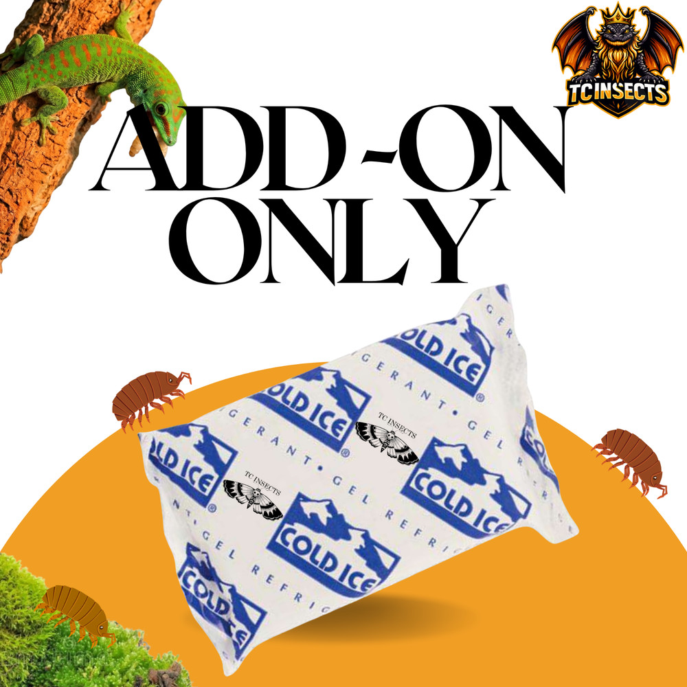Add-On Ice Pack for Live Feeder Insect Orders