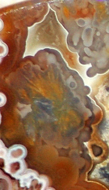 Red Crazy Lace Agate Cabochon 50 carats