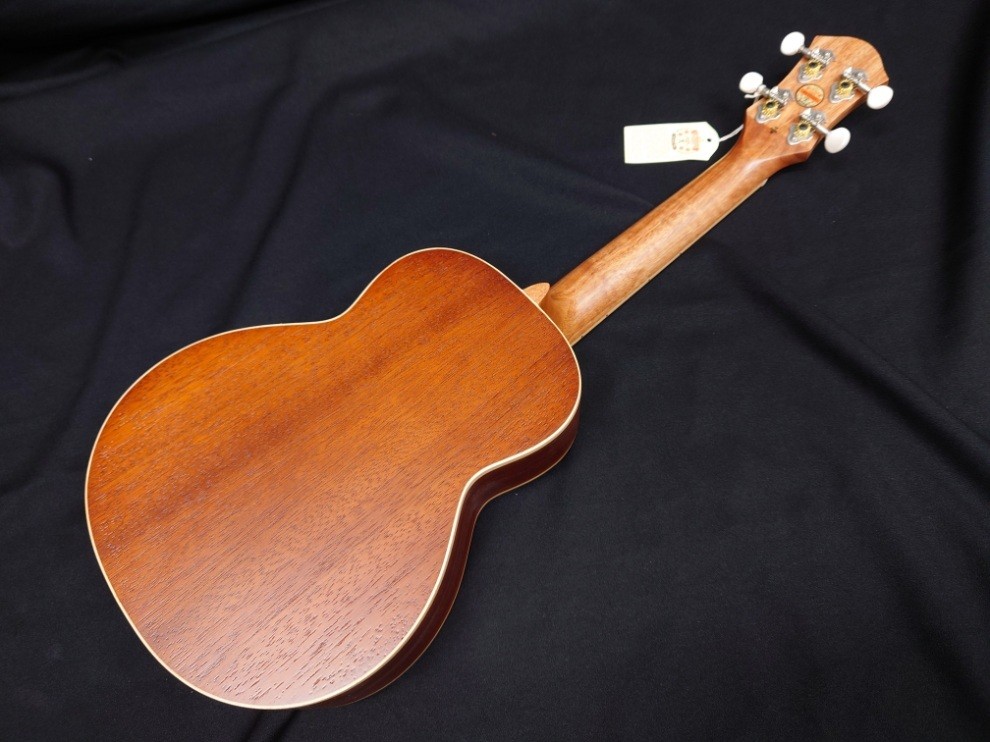 aNueNue UC10-Ice Green [Funabashi store]