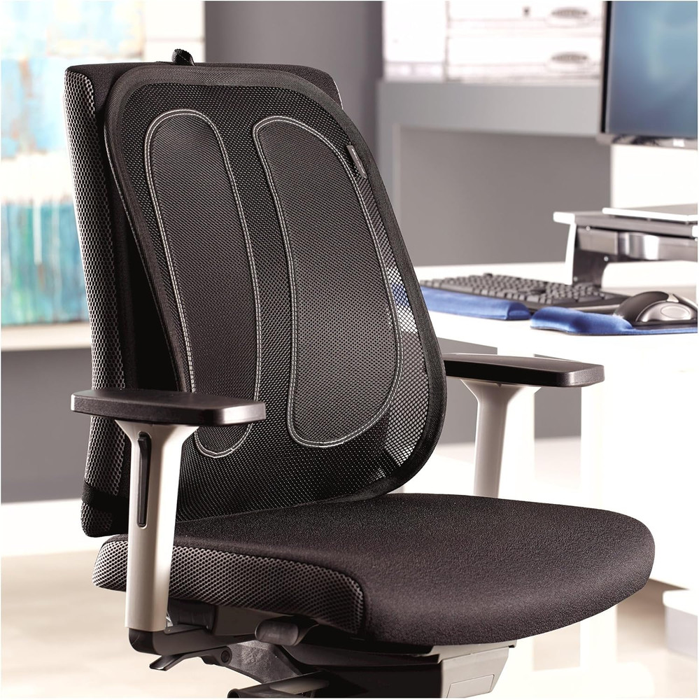 Office Suites Back Support, Graphite (9191301)