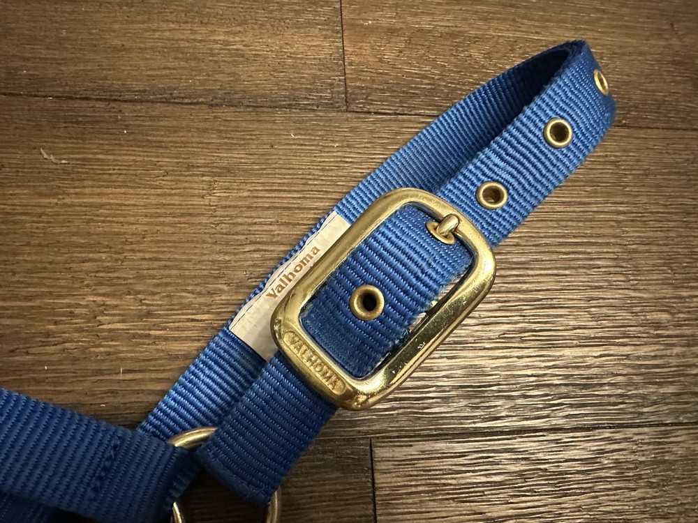Horse Tack - Valhoma Blue Nylon Halter