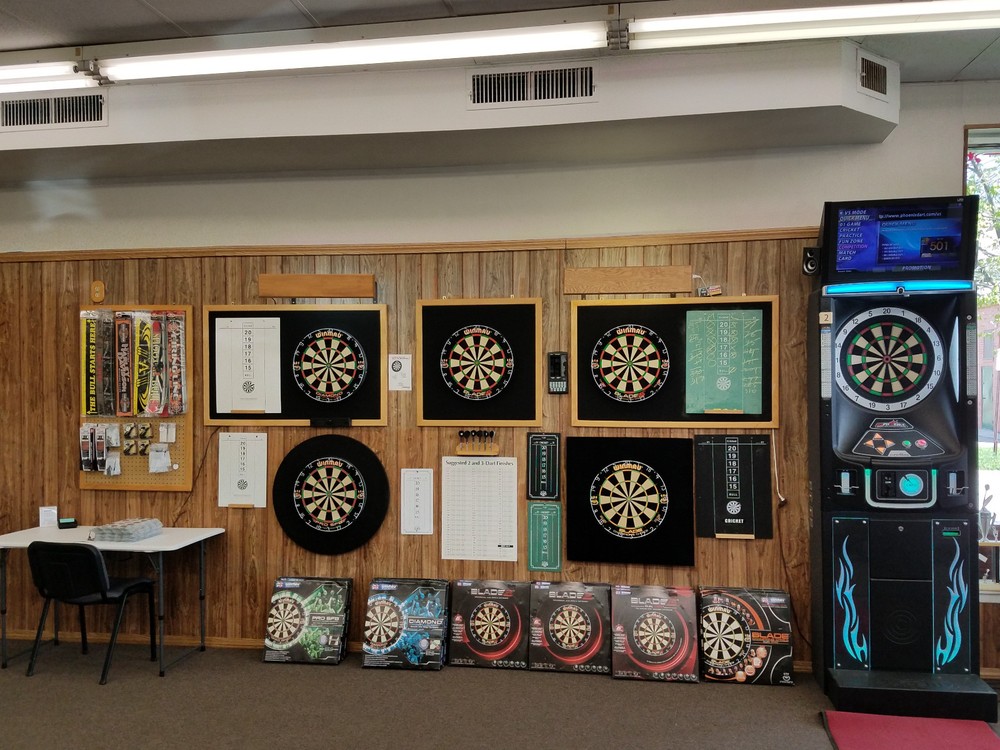 Peter "SNAKEBITE" Wright x2 WORLD CHAMP FREESTYLE Dart Flights: 3 per set