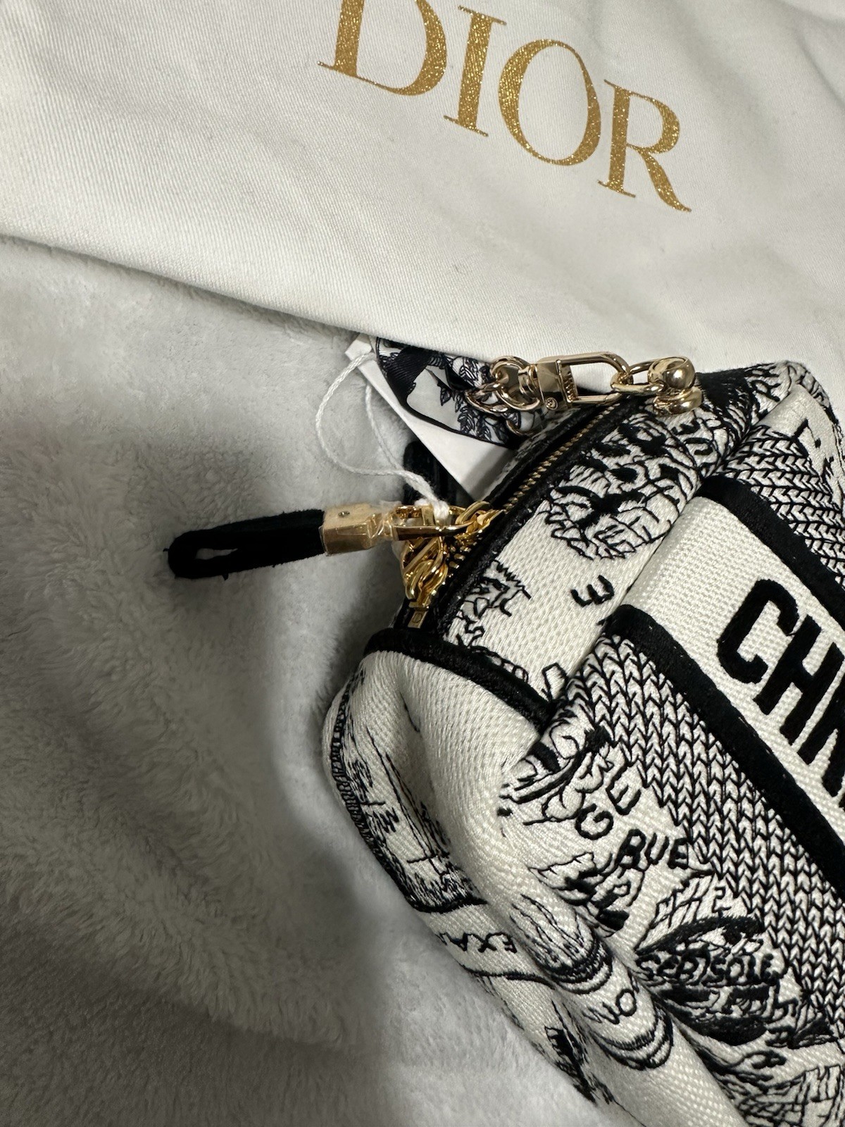 NWT Christian Dior Plan De Paris Canvas Embroidered Cosmetic Bag VIP GWP- BOX