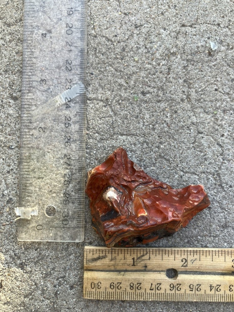 Crazy Lace Agate (End Cut)