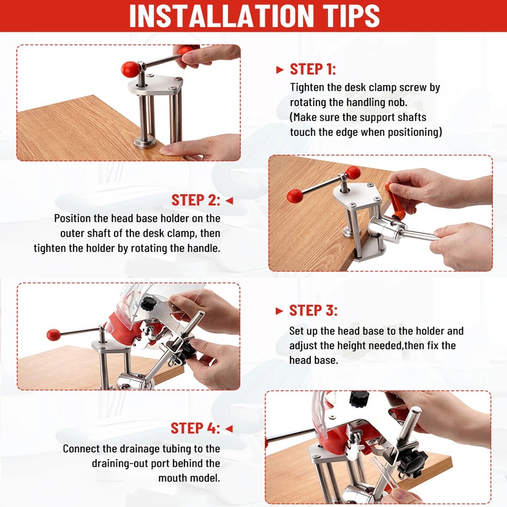 Dental Simulator Mannequin Head Teeth Model Teaching Practicing Head Mold US