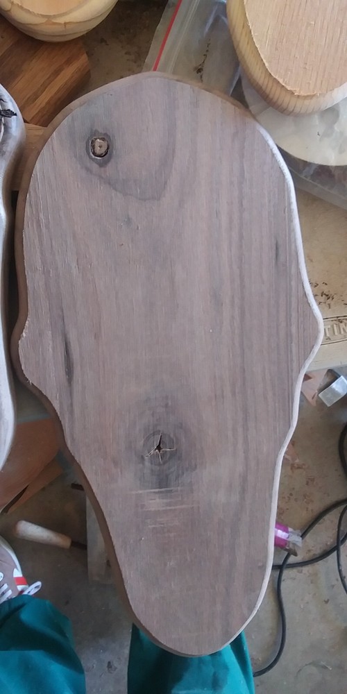 Solid Walnut European Deer Skull Mount Plaque. Wall face plate Handcrafted.