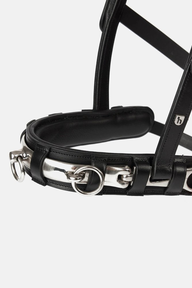 HORZE FULL SIZE LEATHER LUNGING CAVESSON