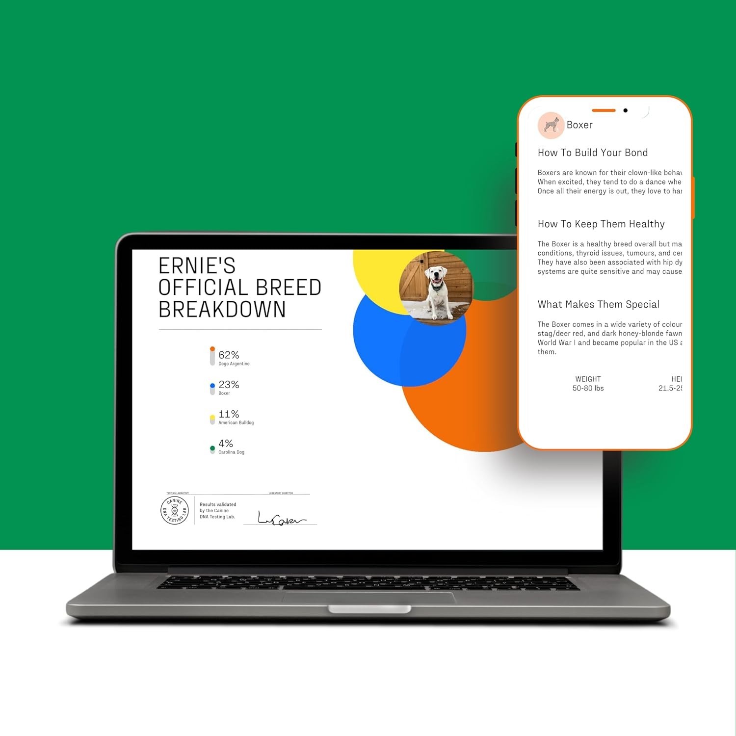 Dog Breed DNA Test Kit – 350+ Breeds, 99% Accuracy, Cheek Swab, 2-Week Results