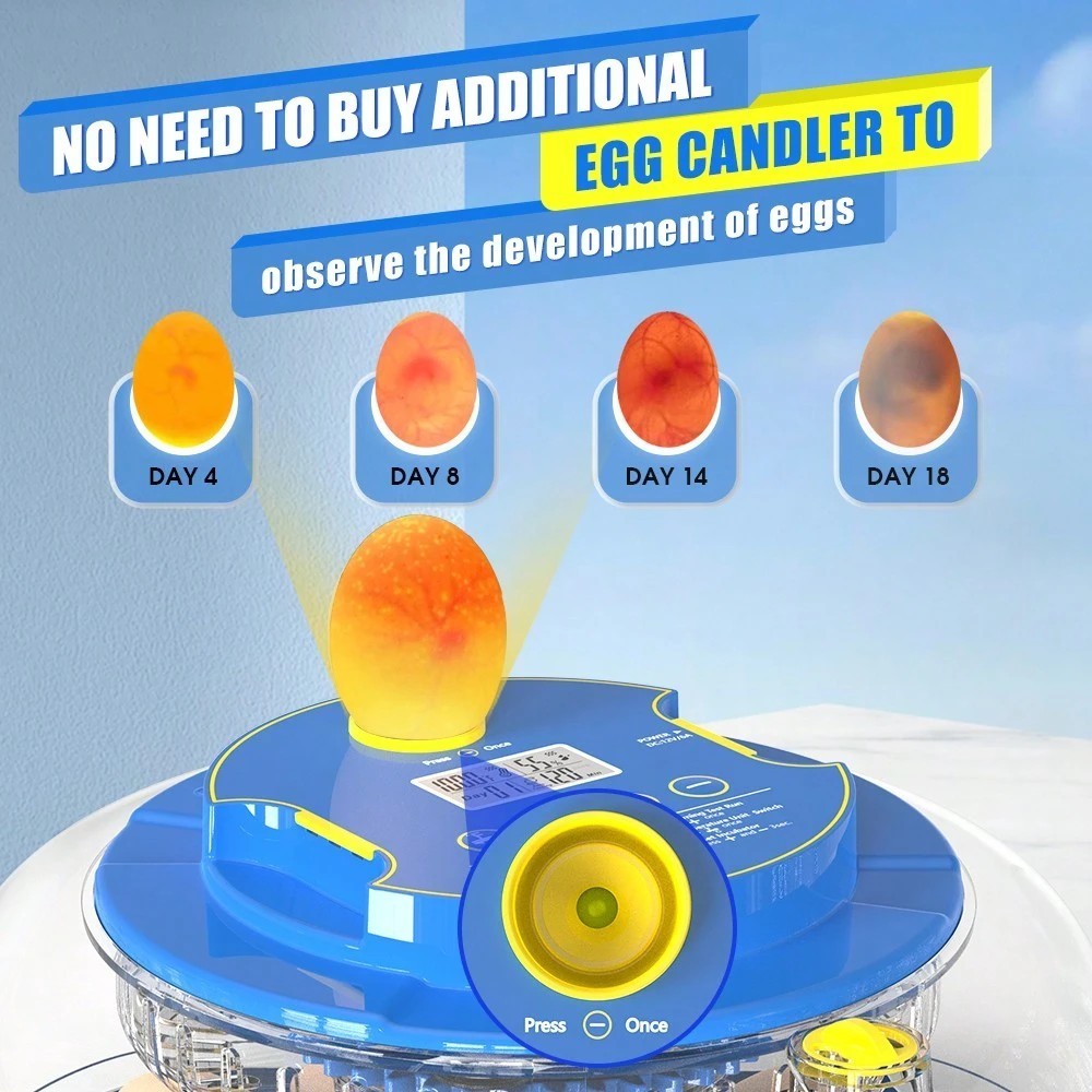 Automatic Egg Incubator 18 Eggs Poultry Hatcher Auto Turner Temp Control Clear