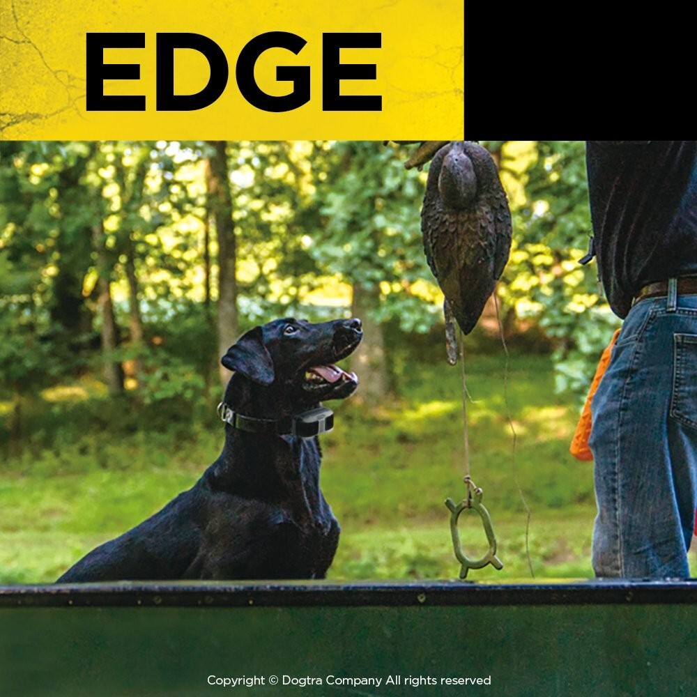 Dogtra Edge Waterproof 4-Dog Expandable Remote Training E-Collar with LED Light