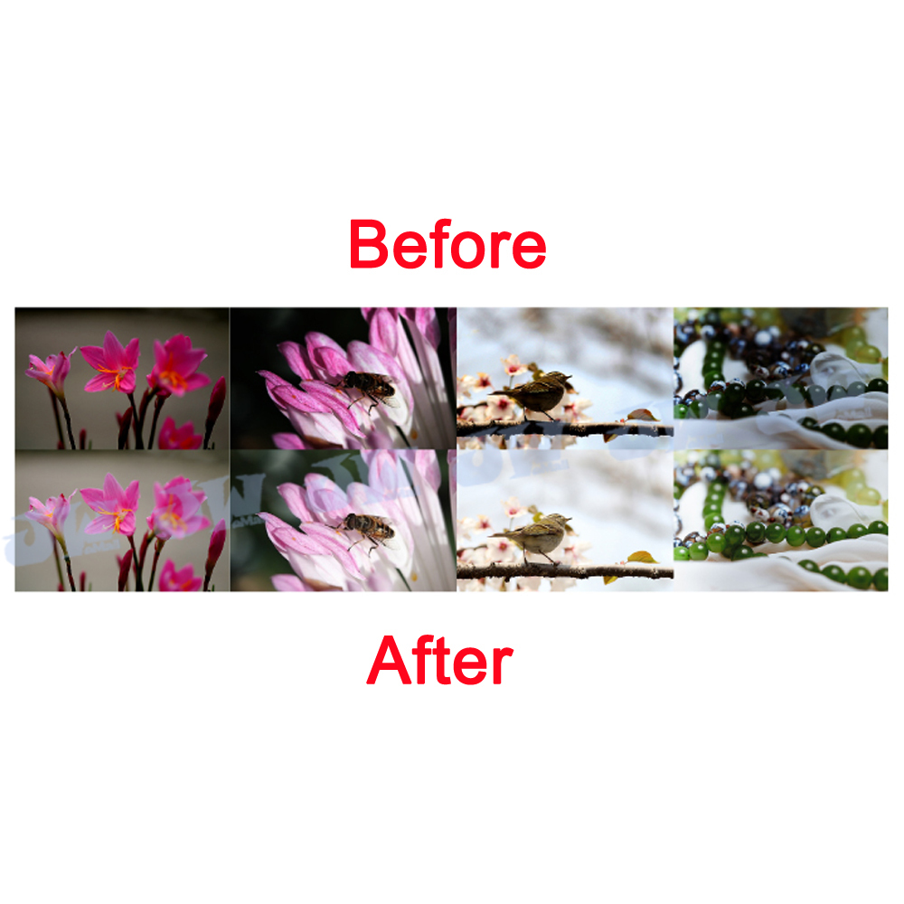 Universal LED Macro Flash Ring Light for Camera Lens, 6pcs Filter Thread Adapter