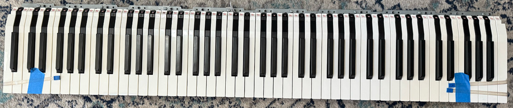 Nord Stage 4 Keybed