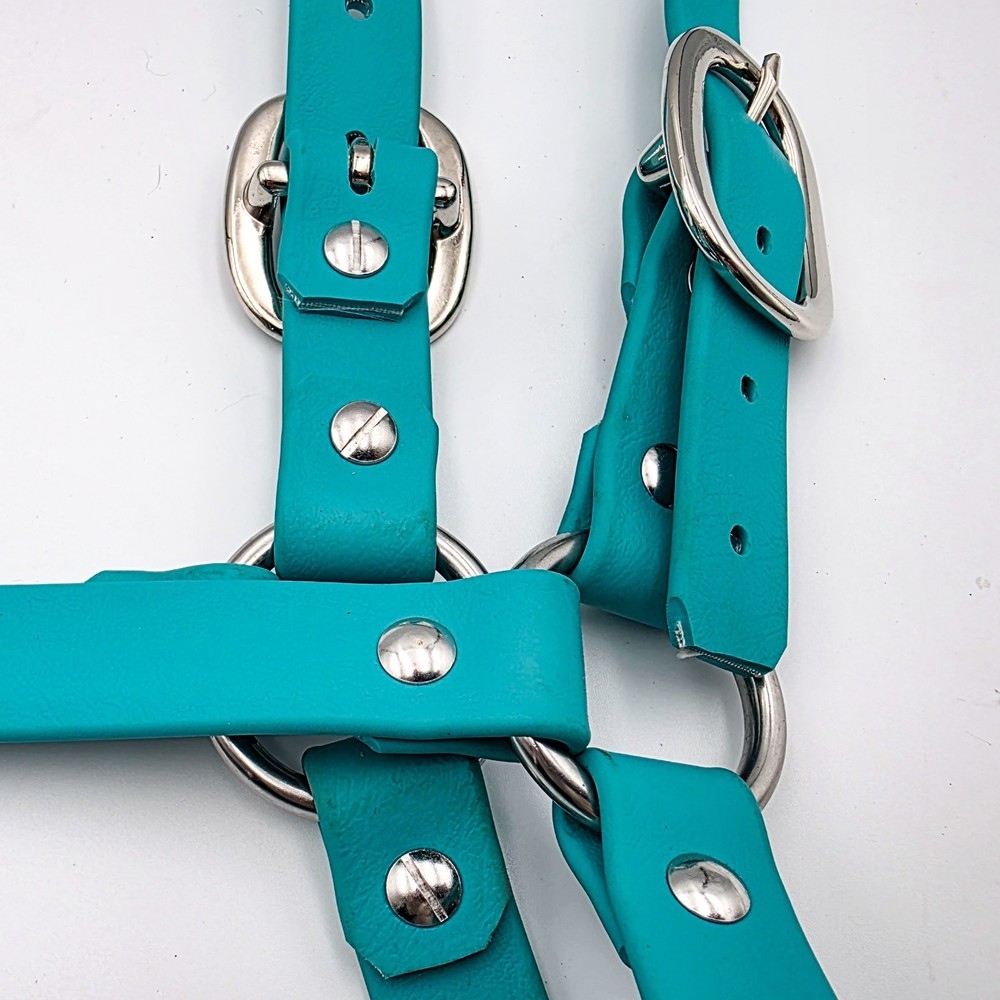 Biothane Horse Halter - Dragonfly