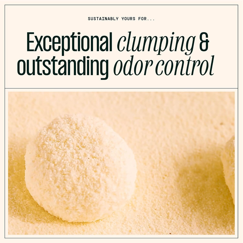Natural Cat Litter, Large-Grain Formula, Low Tracking, Exceptional Clumping & Od