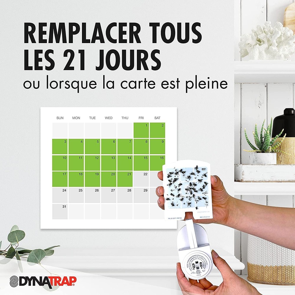 DynaTrap 23005-06 DOT StickyTech Replacement Glue Cards - Cloud