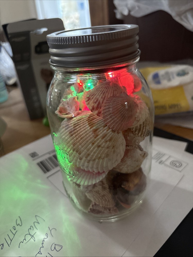 Shells In Lighted Jar