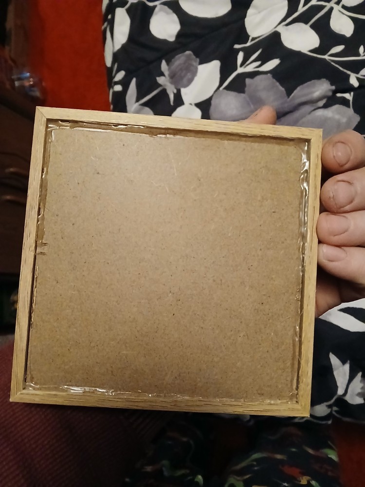 Real Large Stag Beetle Mounted In A Case