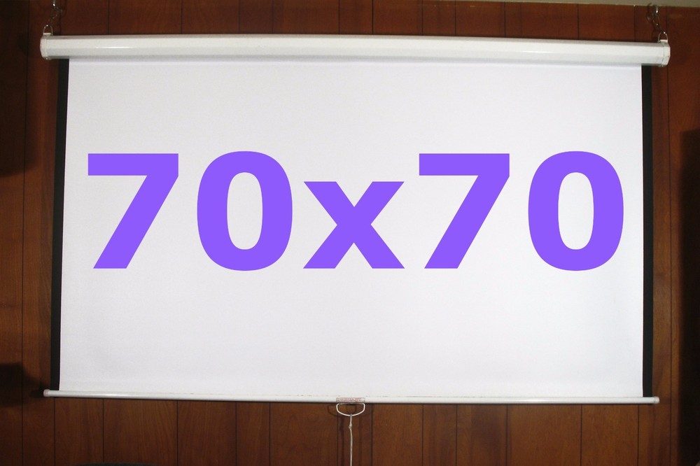 DA-LITE MODEL B WALL PULL-DOWN VIDEO PROJECTION SCREEN 70x70 MATTE WHITE SURFACE