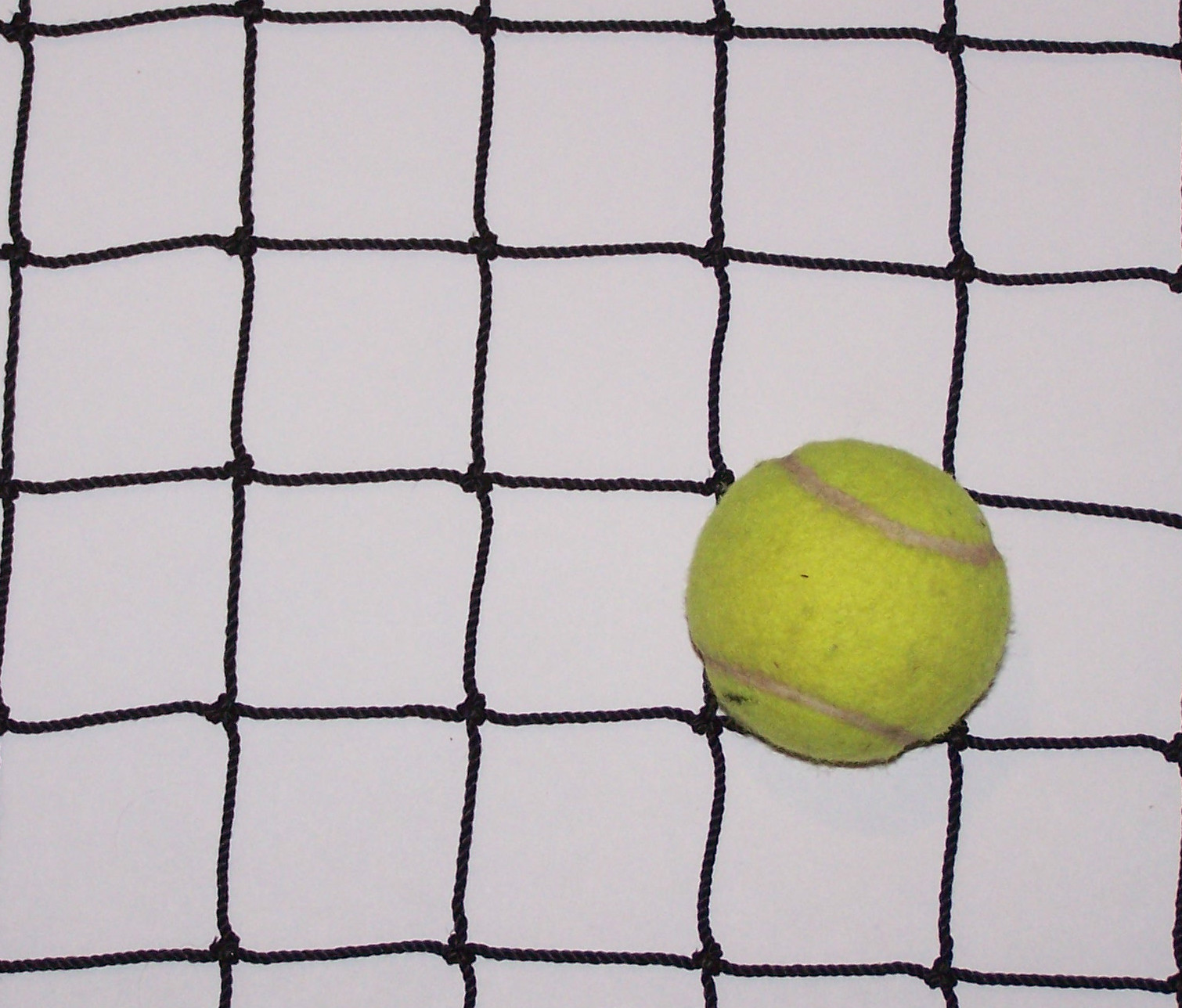 50' x 3-1/2' BASEBALL NET BLACK SQUARE HEAVY DUTY HORSE HAY NET 1 7/8" #36