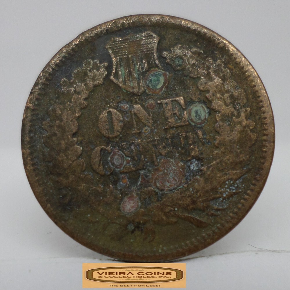 1865 Indian Head One Cent, Damaged - #C41931NQ