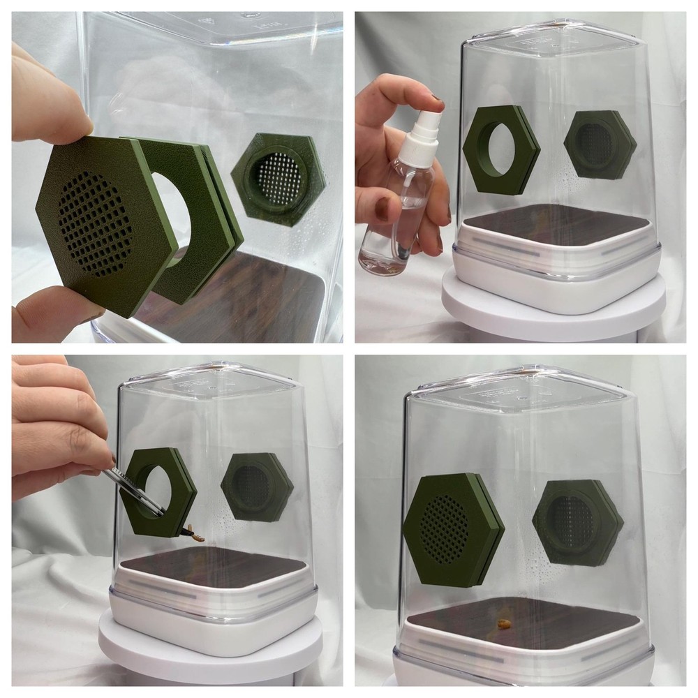 Jumping spider enclosure decor set