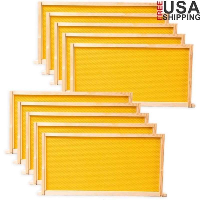 10 Pack Deep Hive Frames Wax Foundations Langstroth Brood Box Bee Beekeeping New