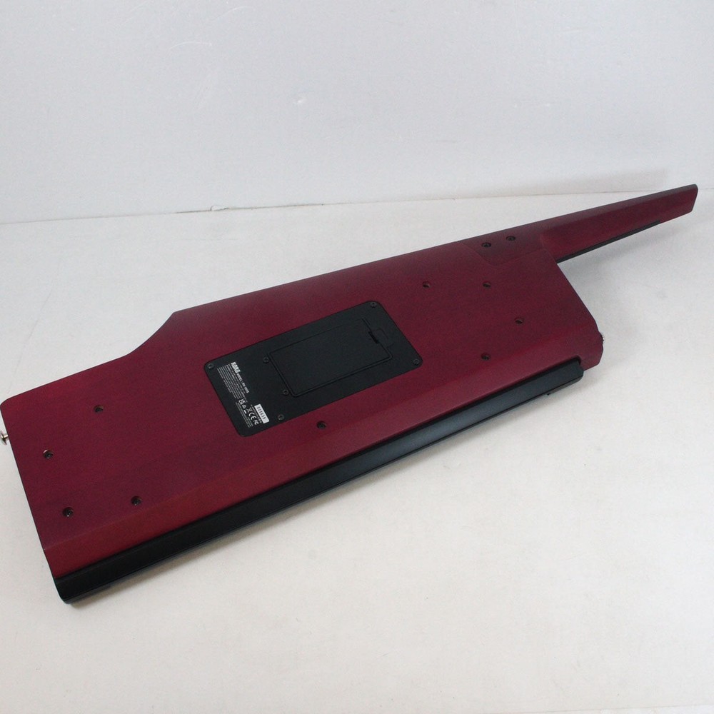 KORG RK-100S2 RD [005635]