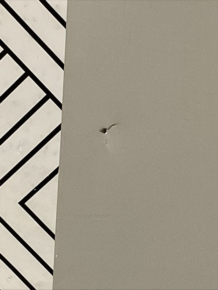 🥥 Heyday Butterfly Camera Neck Strap Camera Strap🆕AS SHOWN