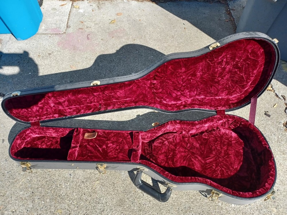 Gibson les Paul Case