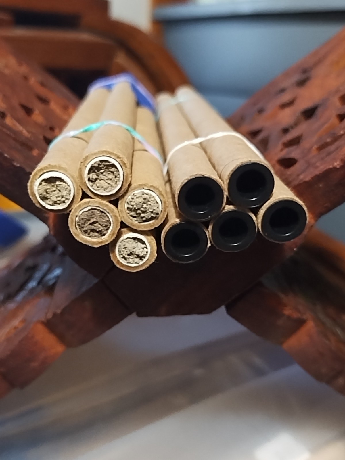 GARDENER GIFT!  5 Tubes LIVE 2025 BLUE ORCHARD MASON BEES COCOONS Spring Emerge