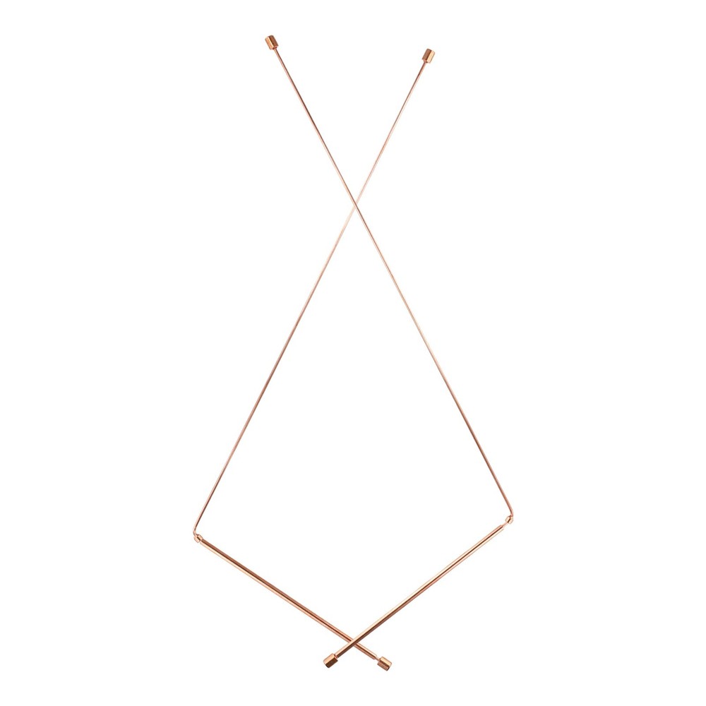 Explore with Confidence Quality 99 9% Copper Probes in a Convenient Two Pack