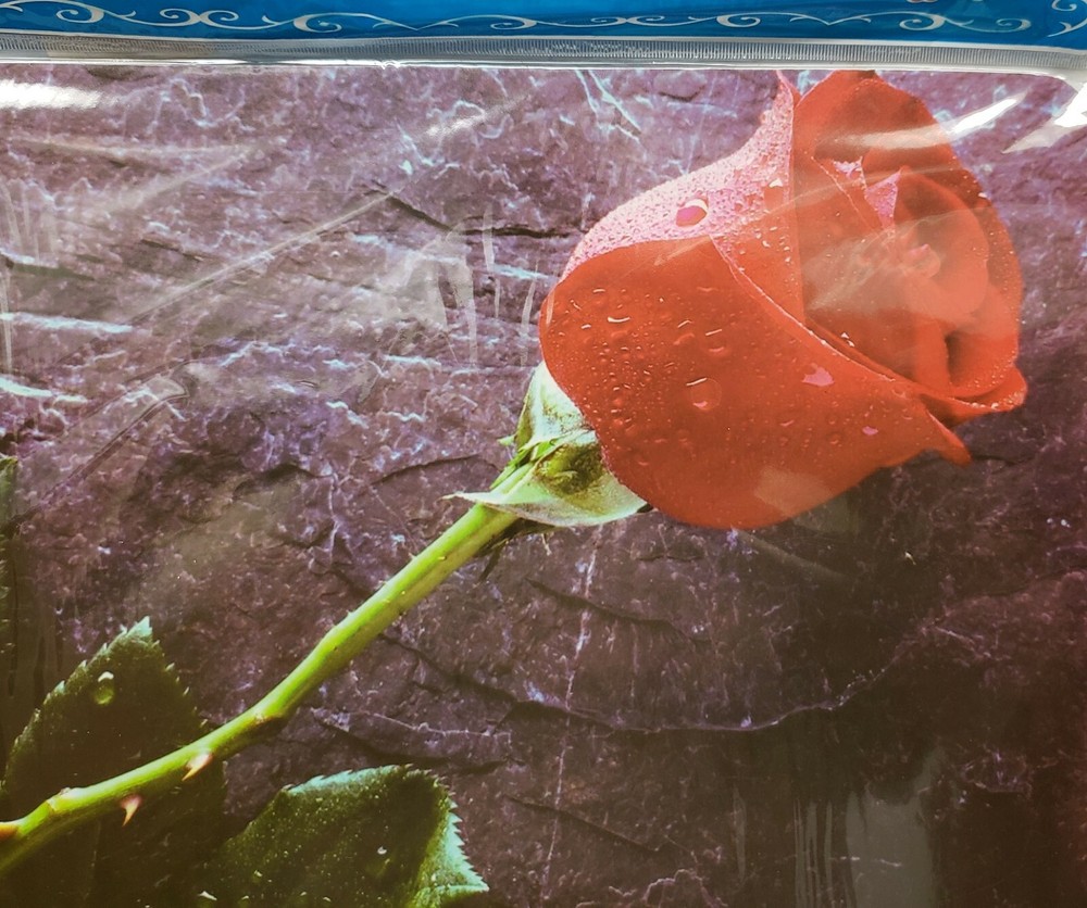 4pc Non Clear Thin Plastic Set: 2 PLACEMATS & 2 COASTERS,RED ROSE FLOWER, Mirtex