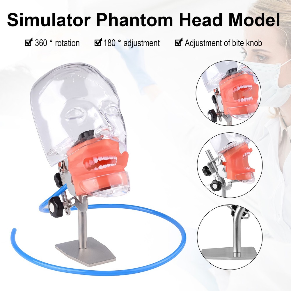 Desktop Dental Manual Manikin Simulator Phantom Head Model for Training Practice