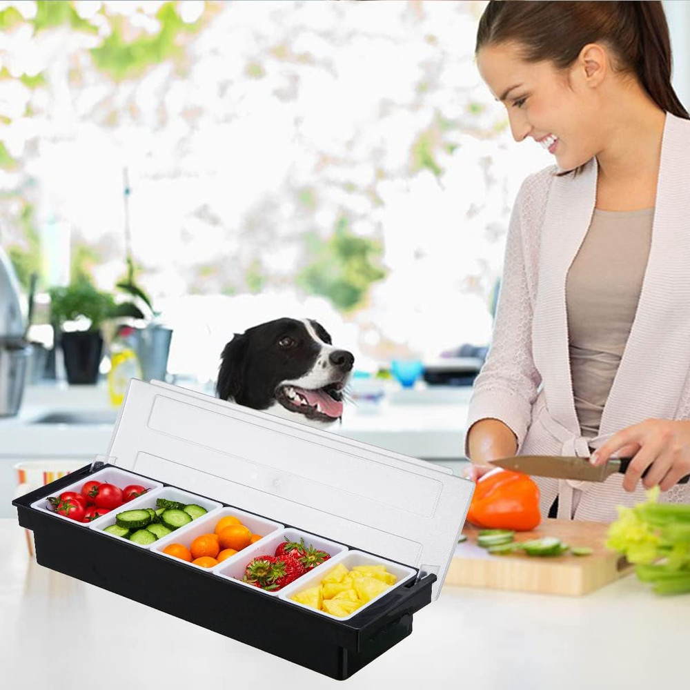 Ice Cooled Condiment Serving Container-6 Compartment Chilled Garnish Tray Bar Ca