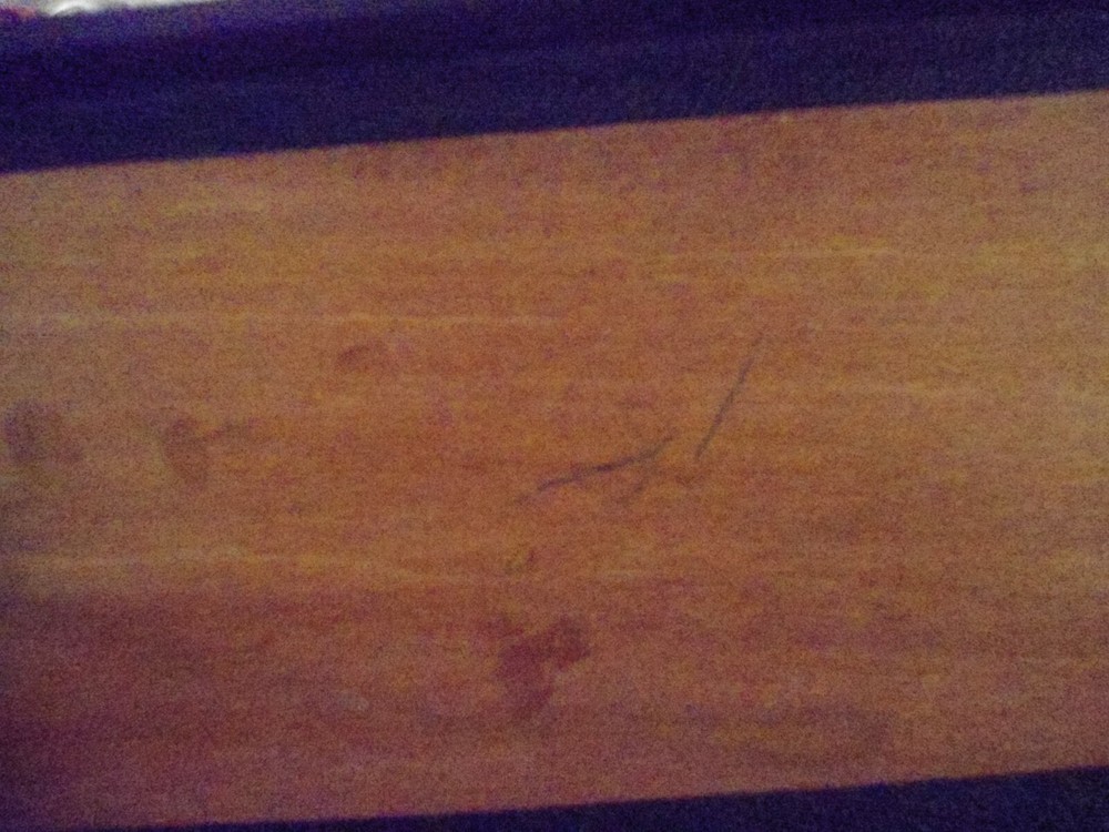 bb gun case hard shell old daisy case and old padding