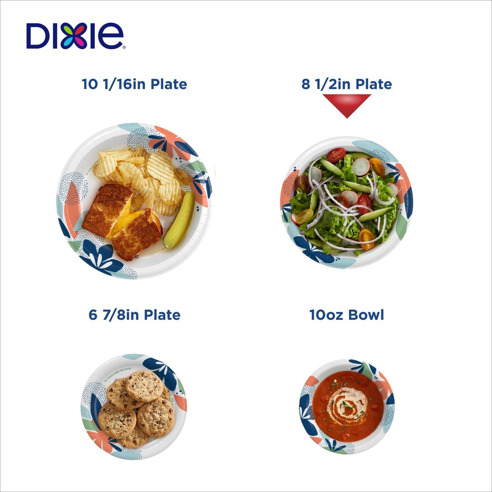Dixie Everyday Disposable Paper Plates, 8.5", Multi-Color, 200 Count