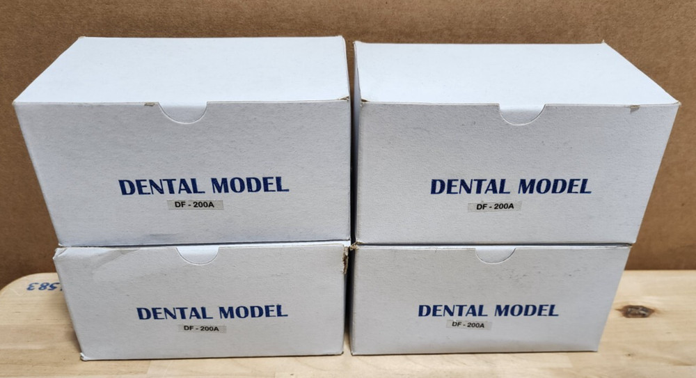 Dental Form w/ Removable Teeth Typodont Dentoforms (Qty 4)