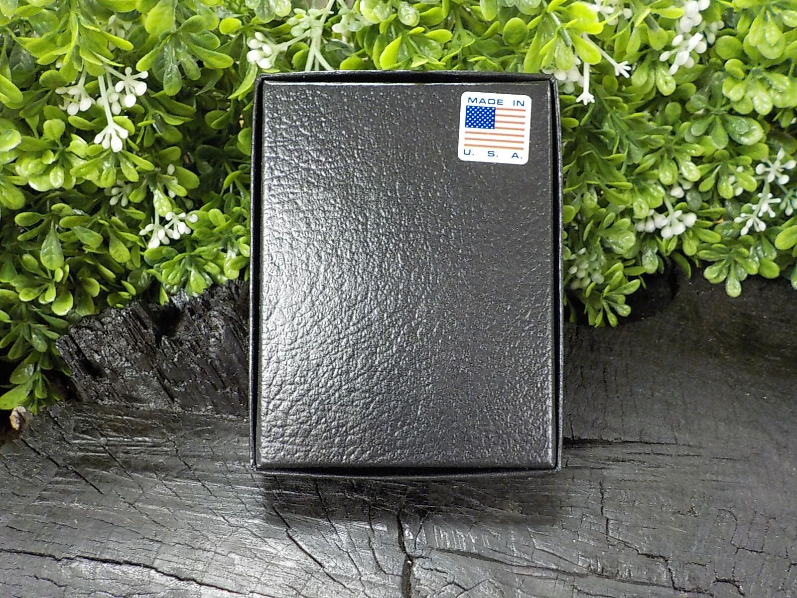 11 1/2 Inch Calvary Saddle Shield with Free Display Case for Display and Protect