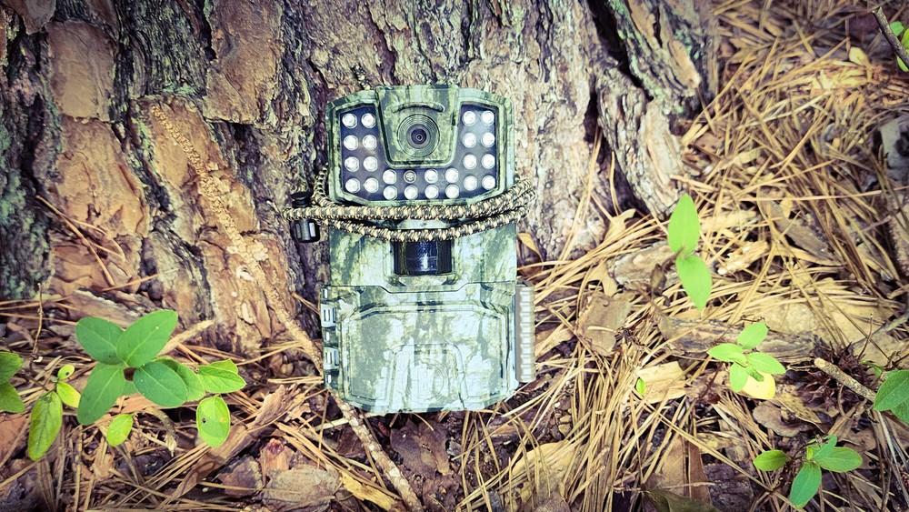 Tree Gripper Adjustable Trail Camera Strap (2 pack)