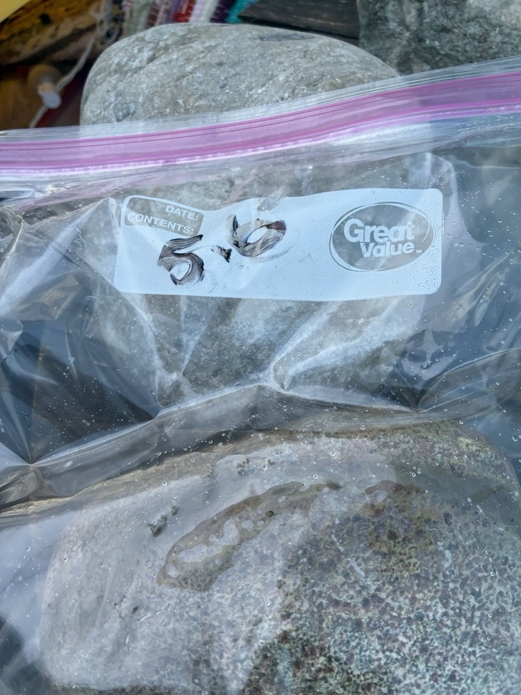 Jasper~Chalcedony~ Quartz 5.6 Lbs Solid Rough